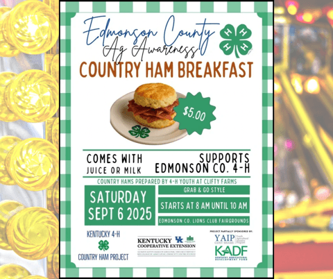 2025 County Fair poster